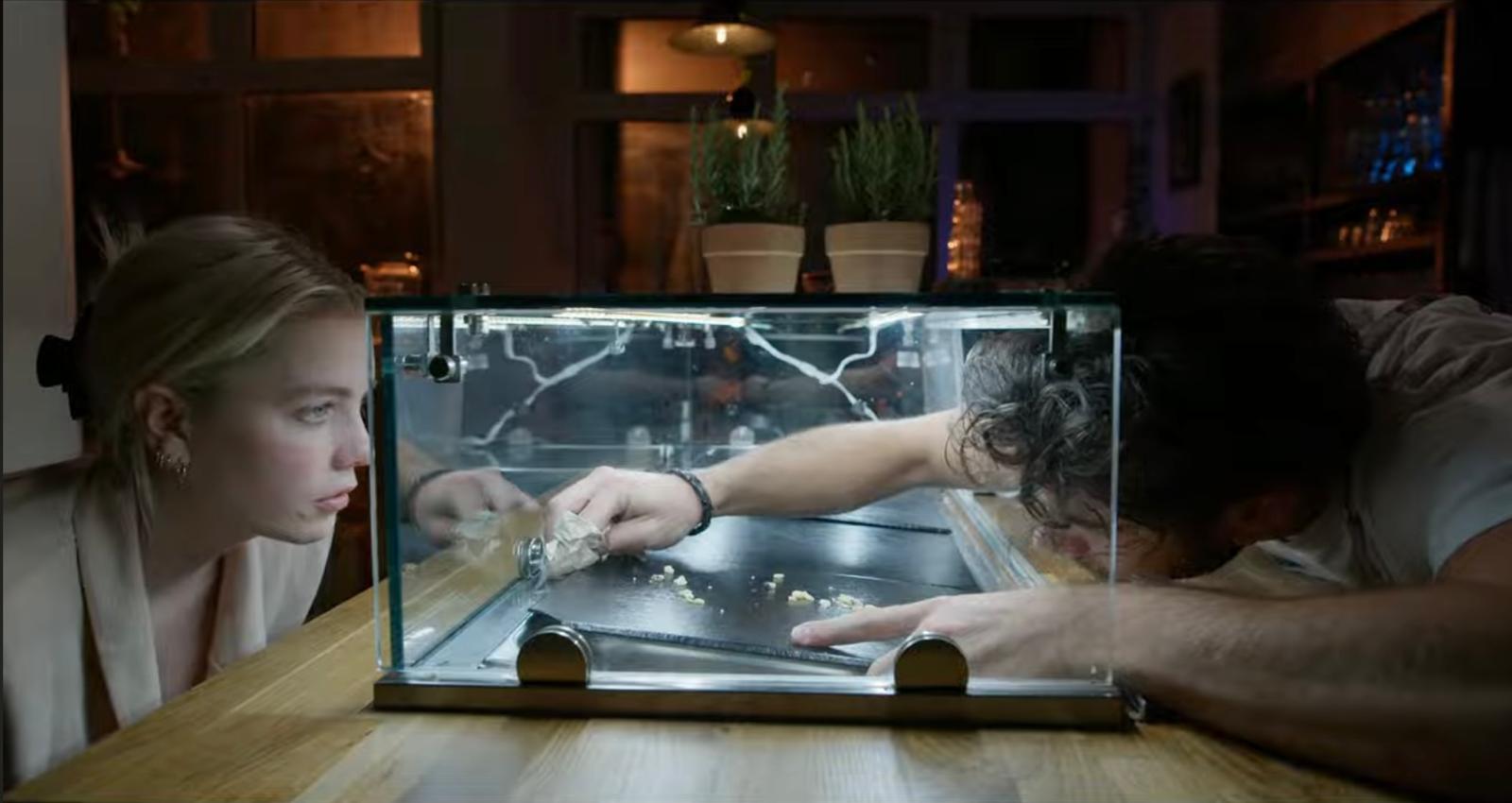 Summers in January still 3